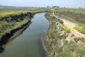 Upper Newport Bay Nature Preserve image