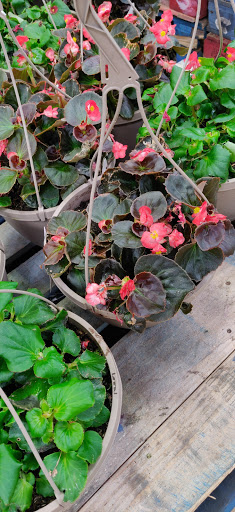 Produce Market «Produce Junction Inc», reviews and photos, 6825 Tilton Rd, Egg Harbor Township, NJ 08234, USA