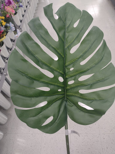 Craft Store «Michaels», reviews and photos, 3415 Simpson Ferry Rd Ste 1, Camp Hill, PA 17011, USA