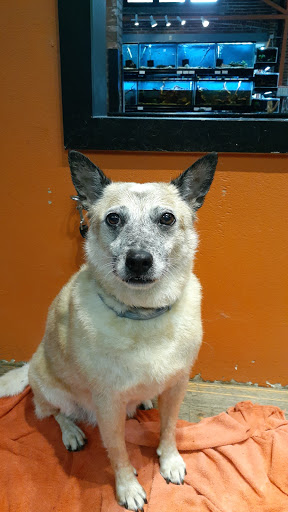 Pet Store «The Pet Works», reviews and photos, 407 4th Ave E, Olympia, WA 98501, USA