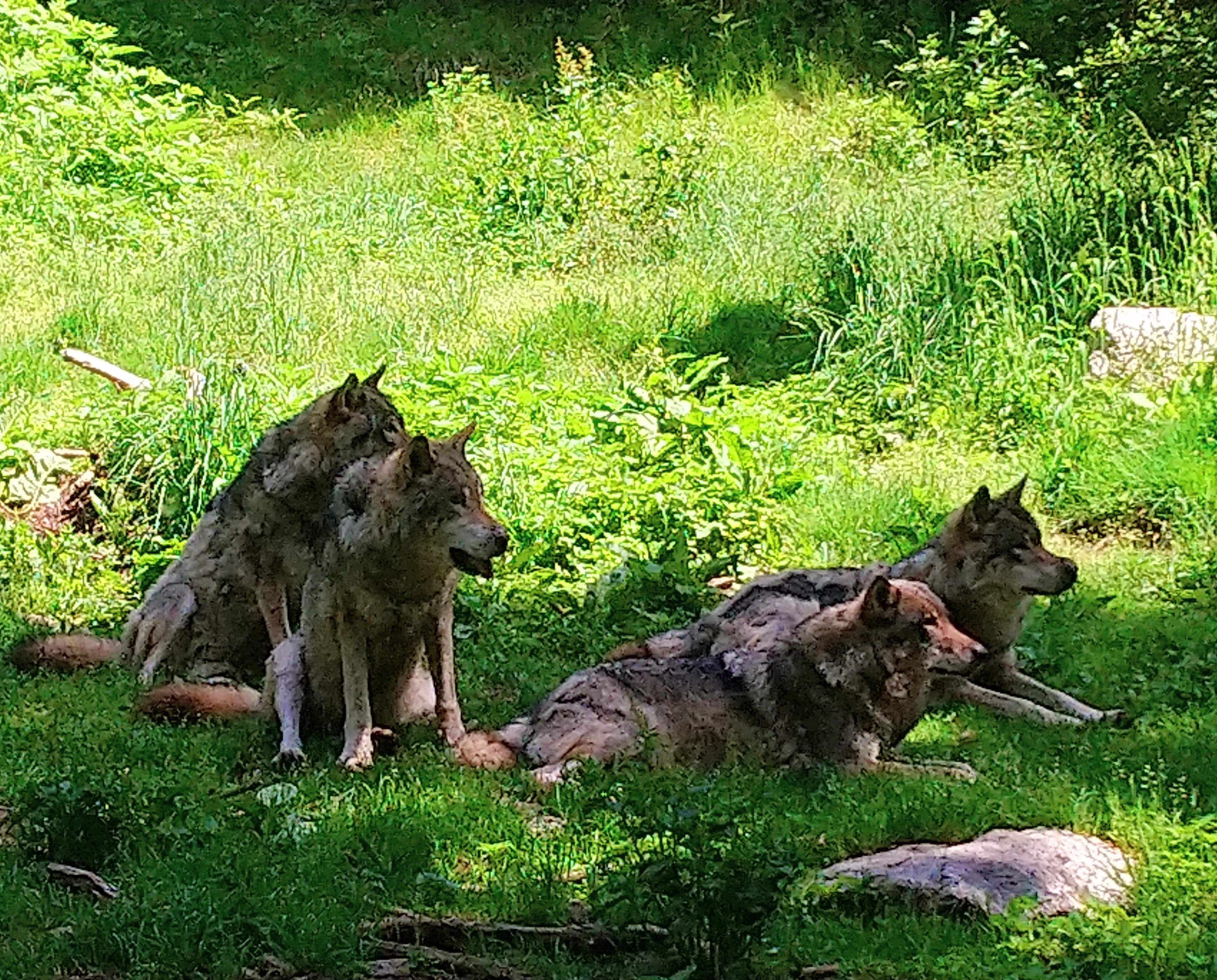 Photo n° 3 de l'avis de CHRISTOPHE. fait le 02/08/2019 à 07:51