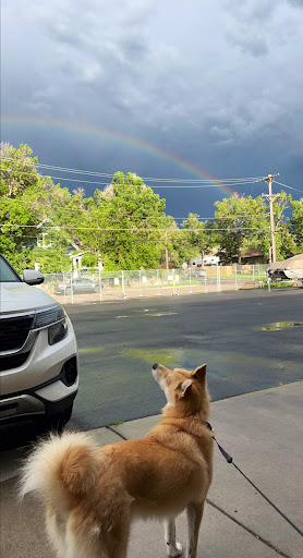 Courier Service «Your Courier Service LLC», reviews and photos, 706 Zion Dr, Colorado Springs, CO 80910, USA