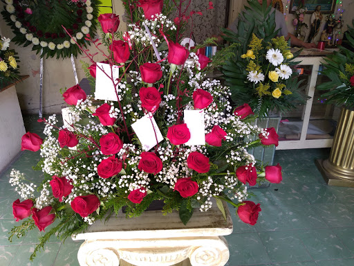 Florería Ninfa María – Linares