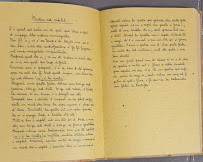 Osteria Pizzeria Al Timone Da Flavio à Cervia menu