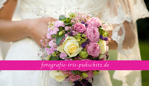 Fotografie Iris Pukschitz