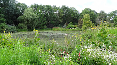 jardin d'eau de l'Aubépré à Gélaucourt