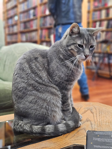 The Iliad Bookshop image