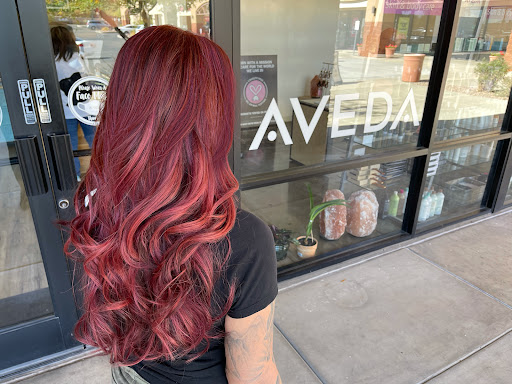 Hair Salon «Distinctive Salon and Spa East Mesa», reviews and photos, 2910 N Power Rd #101, Mesa, AZ 85215, USA