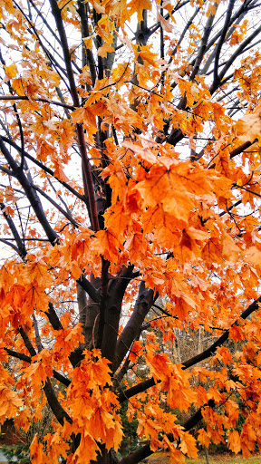 Park «Rose Hill Manor Park», reviews and photos, 1611 N Market St, Frederick, MD 21701, USA