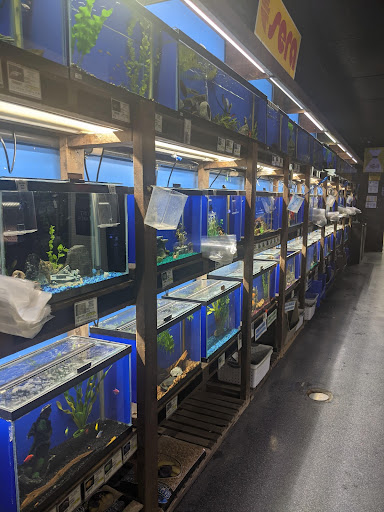 Pet Store «Laconia Pet Center», reviews and photos, 1343 Union Ave, Laconia, NH 03246, USA