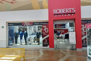 Robert's image