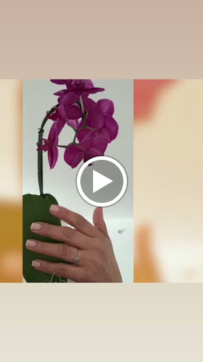 Beauty Salon «Rose Beauty Spa & Salon», reviews and photos, 18683 W Dixie Hwy, Aventura, FL 33180, USA