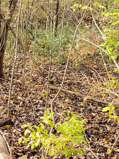 Nature Preserve «Red Oaks Nature Center», reviews and photos, 30300 Hales St, Madison Heights, MI 48071, USA