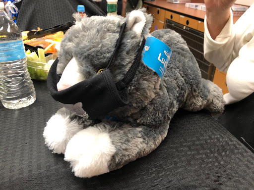 Pet Supply Store «PetSmart», reviews and photos, 5521 Mirage St, Yorba Linda, CA 92887, USA