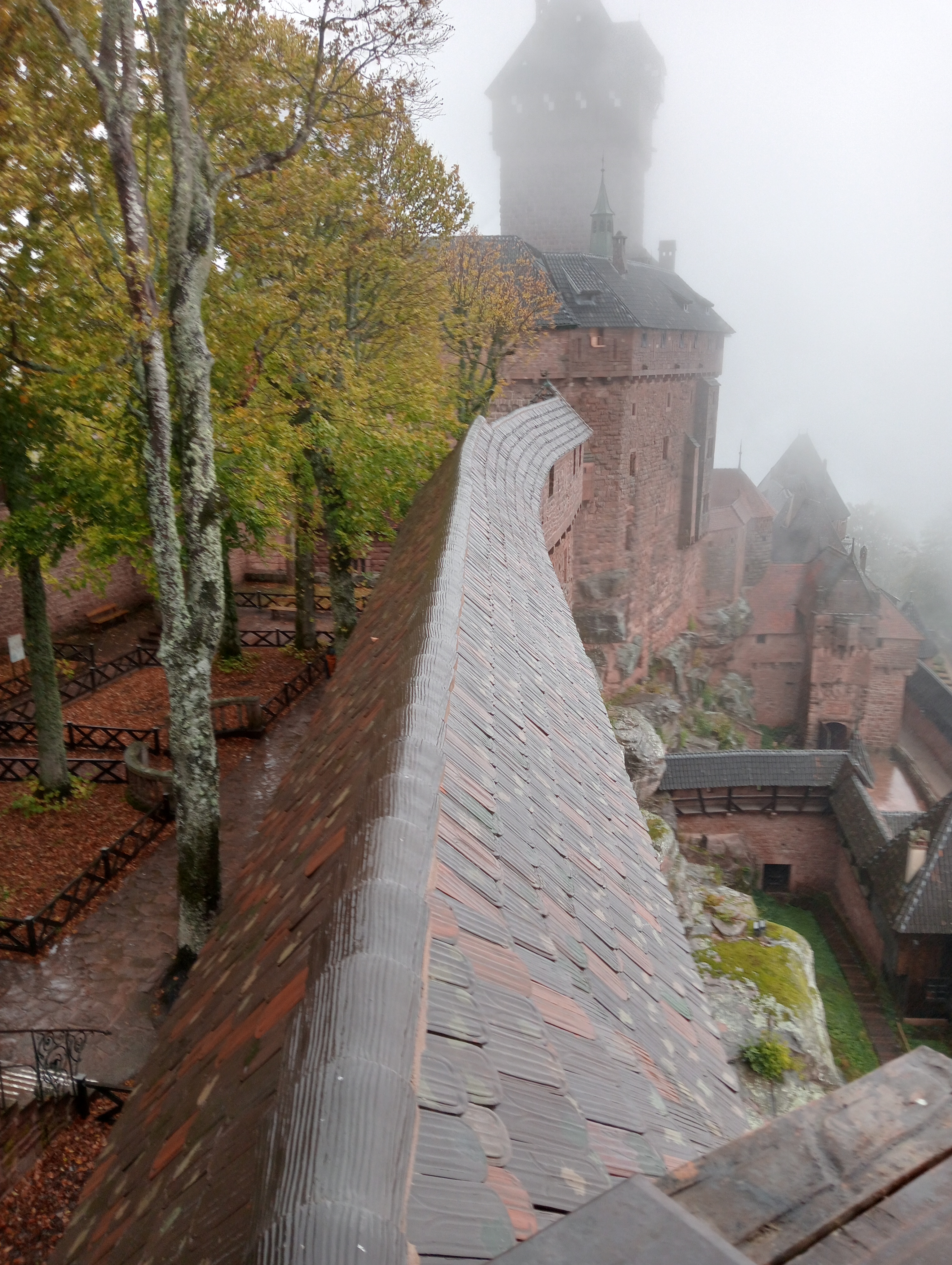 Photo n° 1 de l'avis de Romain.r fait le 25/10/2023 à 20:38