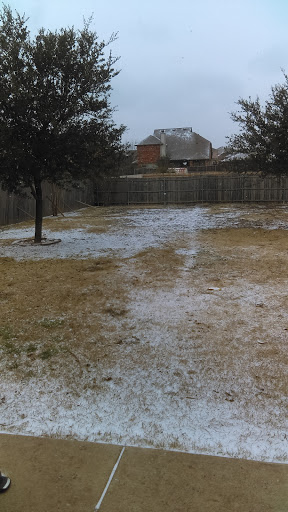 Home Improvement Store «Tractor Supply Co», reviews and photos, 1650 W Princeton Dr, Princeton, TX 75407, USA