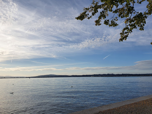 site_photo1