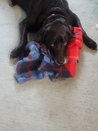 Pet Supply Store «PetSmart», reviews and photos, 8695 Park Meadows Center Dr, Lone Tree, CO 80124, USA