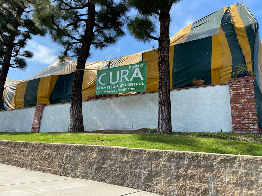 Cura Termite and Pest Control image