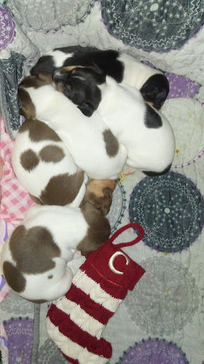 Park «Greycourt State Park», reviews and photos, 37 Pleasant St, Methuen, MA 01844, USA