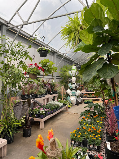 Hardware Store «Ace Handiman Hardware», reviews and photos, 705 N Atlantic Ave, Cocoa Beach, FL 32931, USA