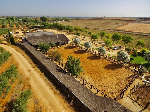 Escuela Hipica la Ponderosa