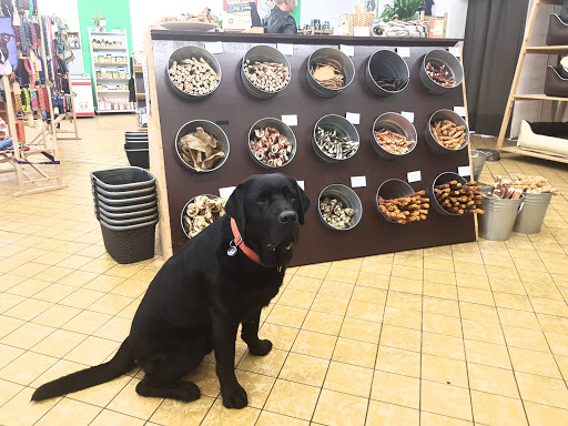 Kauoase Hamm - The dog shop unter Hamm, 