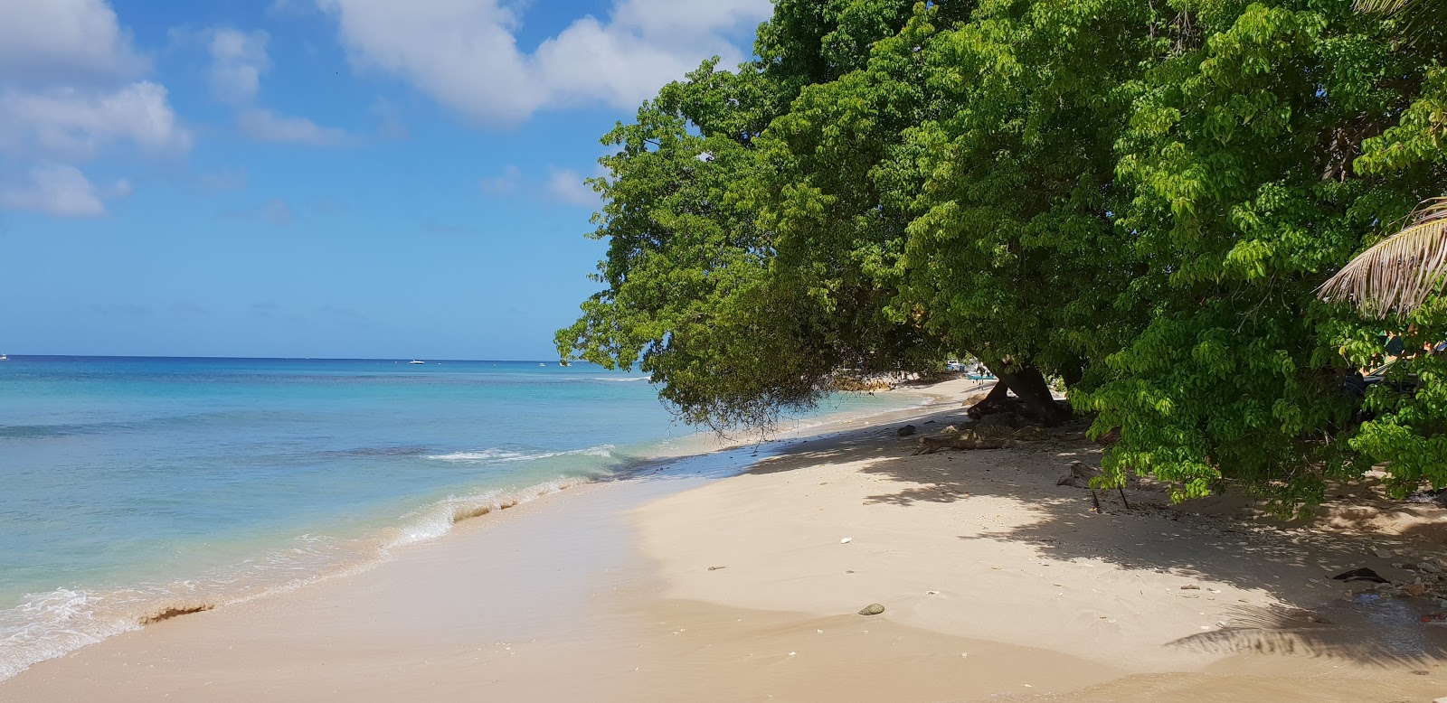 Fotografie cu Braddy's beach cu o suprafață de nisip beige