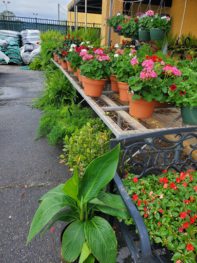 Hardware Store «Ace Hardware of Ocean Spg», reviews and photos, 2933 Bienville Blvd, Ocean Springs, MS 39564, USA