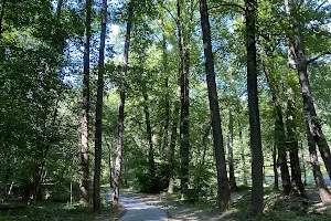 Sligo Creek Stream Valley Park image