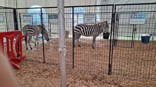 Fairground «Florida State Fairgrounds», reviews and photos, 4800 U.S. 301, Tampa, FL 33610, USA