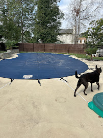Cristals Pool And Spa Service,llc - Photo 3 - Car repair in Waldorf, MD, Alexandria