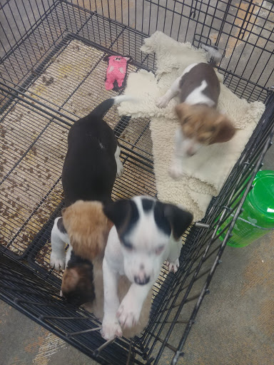 Pet Supply Store «Pet Ranch», reviews and photos, 3823 E 120th Ave, Denver, CO 80233, USA