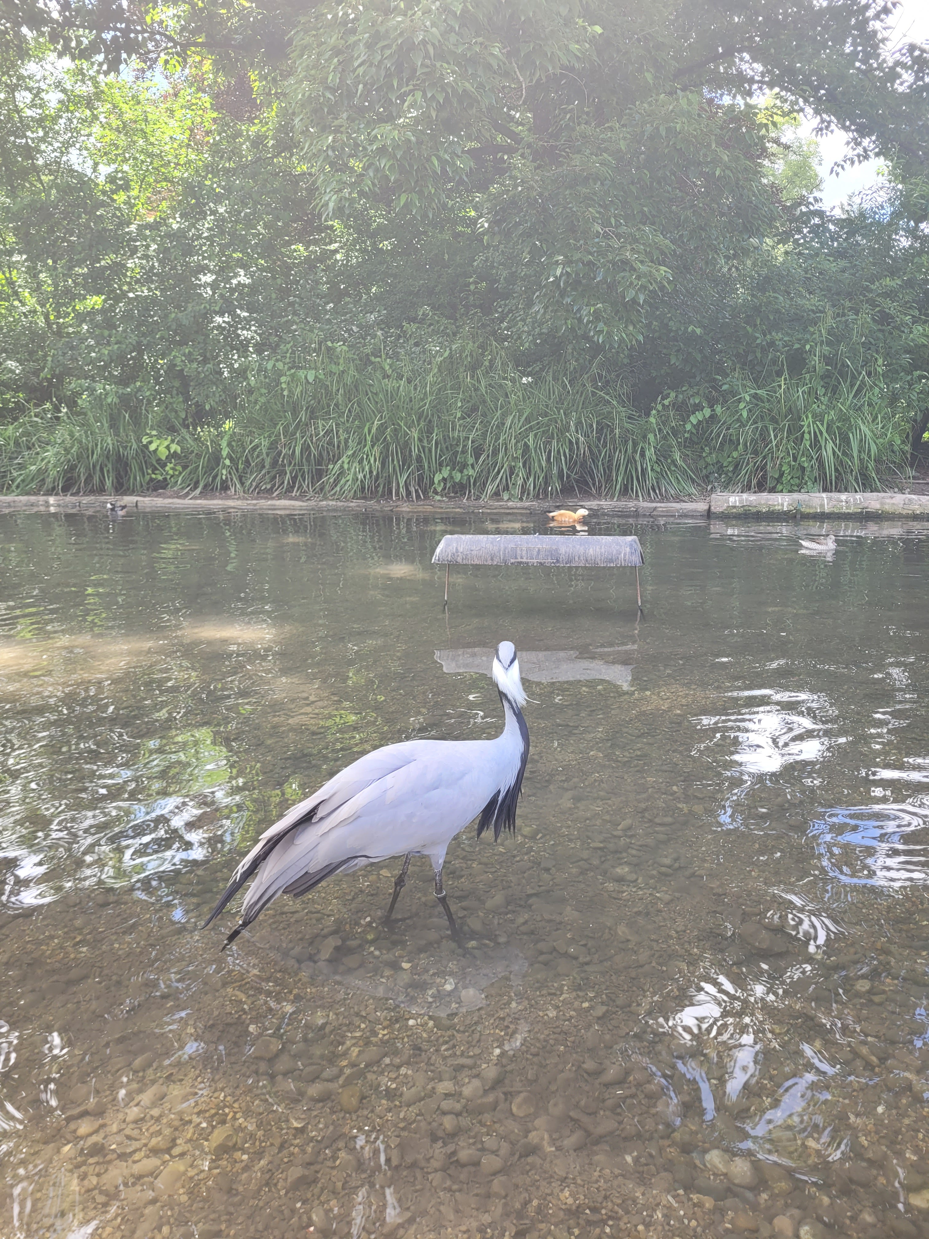 Photo n° 2 de l'avis de Vero.o fait le 14/06/2022 à 11:47