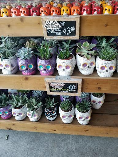 Shopping Mall «Lincoln Shopping Center», reviews and photos, 374 Lincoln Center, Stockton, CA 95207, USA