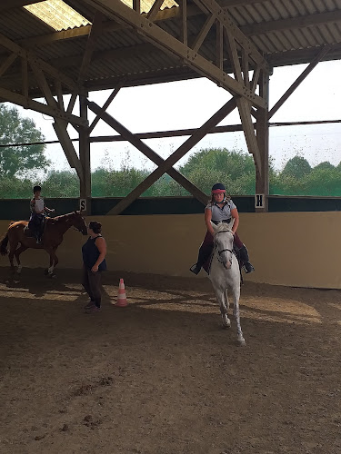 CENTRE EQUESTRE DE NONCHAUX à Quévert