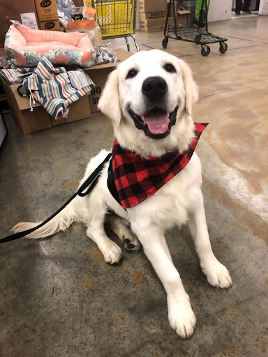 Pet Supply Store «Petco Animal Supplies», reviews and photos, 565 S State St, Westerville, OH 43081, USA