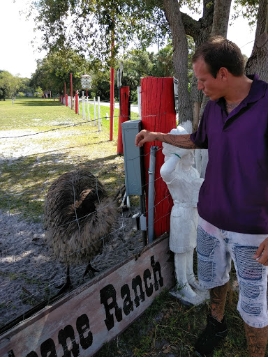 Gym «Hurricane Boxing Gym», reviews and photos, 6600 32nd Ave S, Tampa, FL 33619, USA