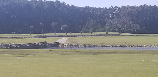 Golf Course «Tarpon Springs Golf Course», reviews and photos, 1310 S Pinellas Ave, Tarpon Springs, FL 34689, USA