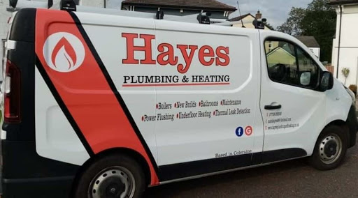 Hayes Plumbing and Heating
