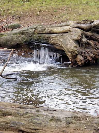 Park «Lynden City Park», reviews and photos