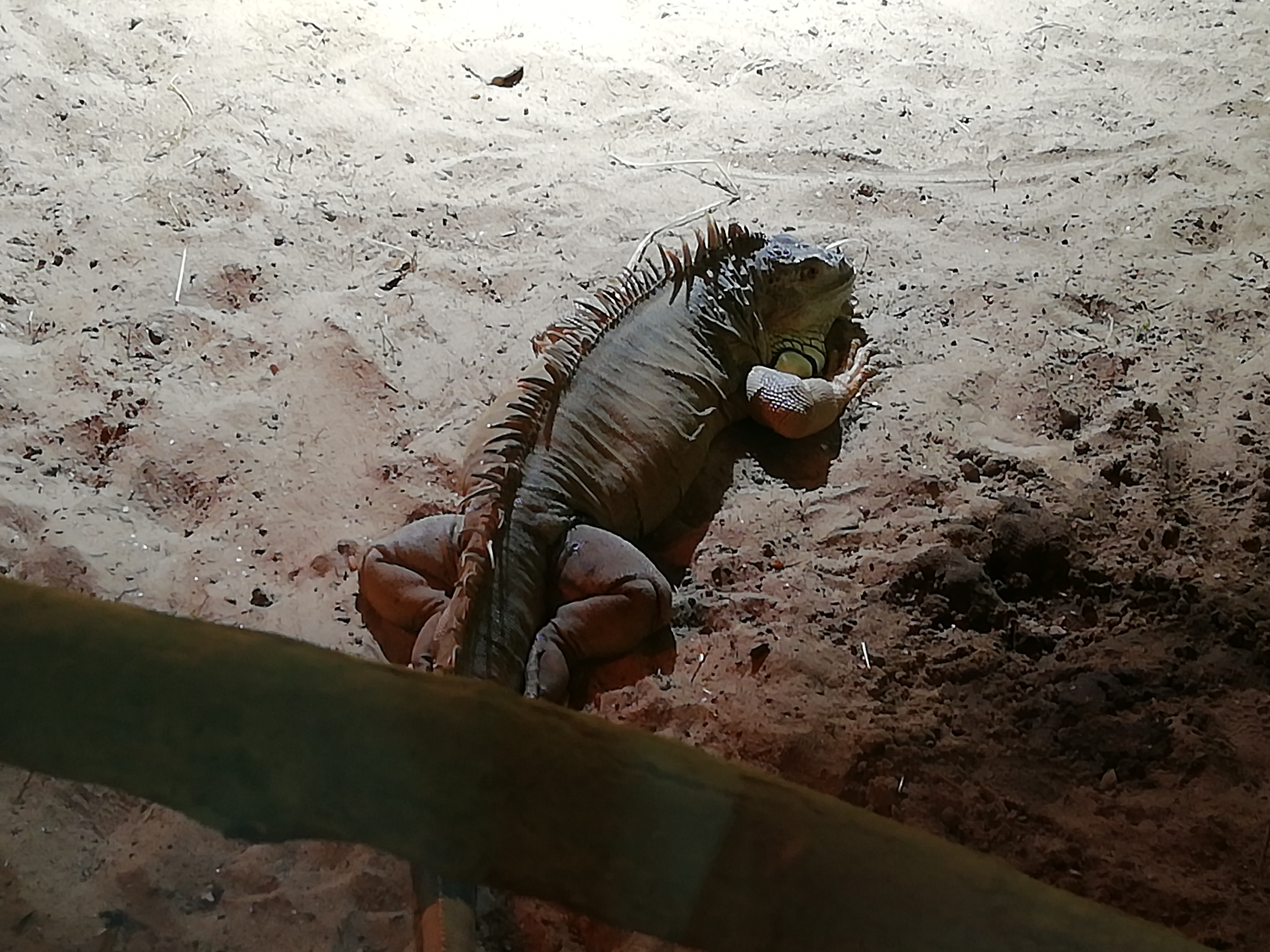 Photo n° 7 de l'avis de José.a fait le 22/08/2021 à 22:03