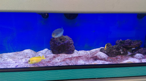 Pet Supply Store «Petco Animal Supplies», reviews and photos, 2520 E 3rd St, Bloomington, IN 47401, USA