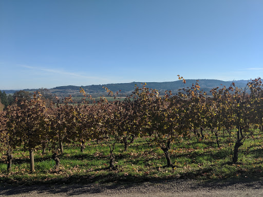 Winery «Patton Valley Vineyard», reviews and photos, 9449 SW Old Highway 47, Gaston, OR 97119, USA