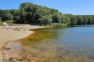 Hooks Creek Lake Beach image