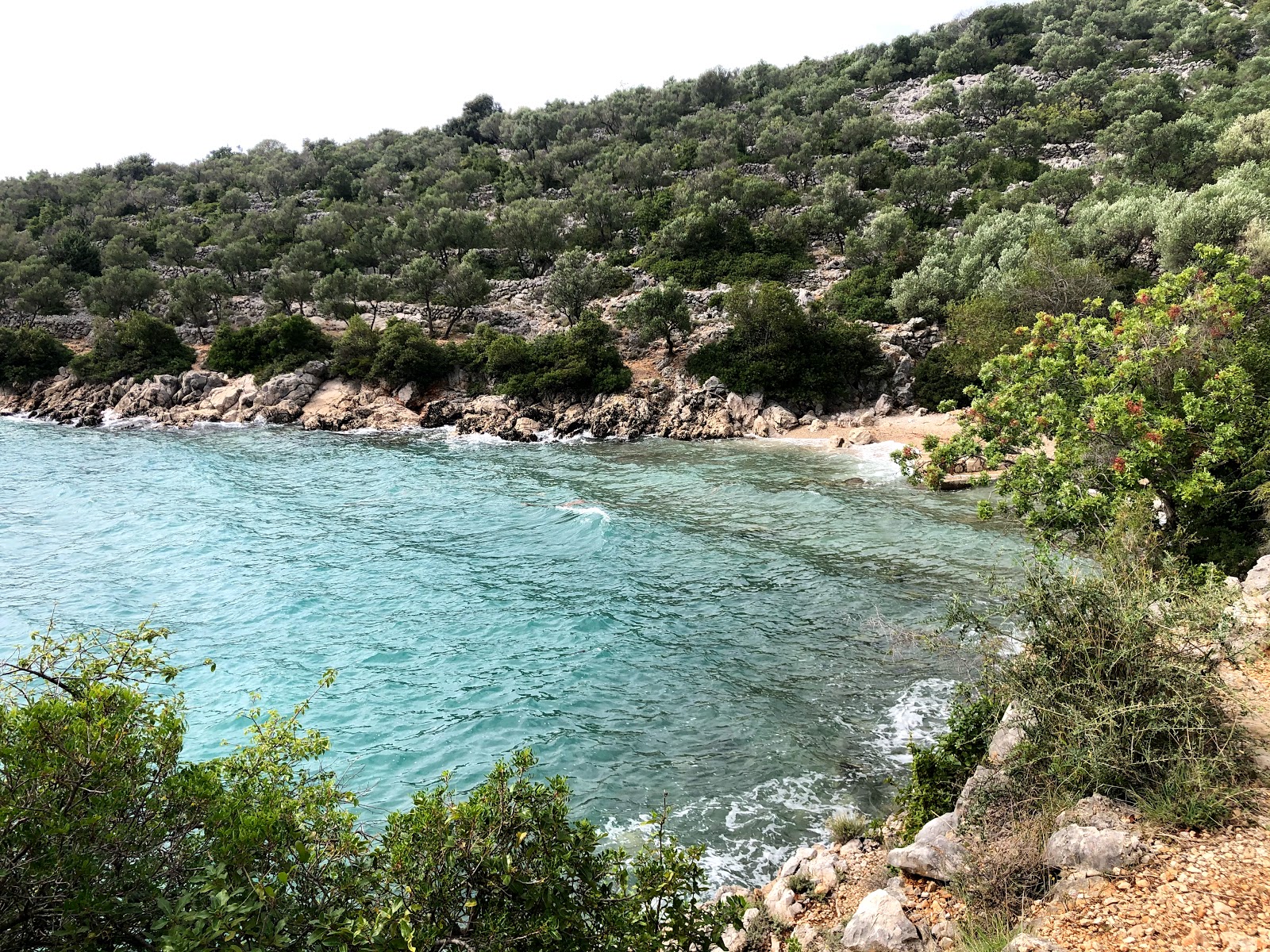 Kovacine beach II'in fotoğrafı vahşi alan