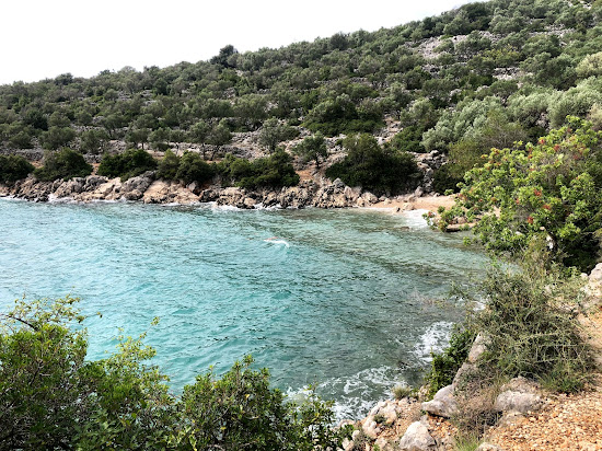 Kovacine beach II