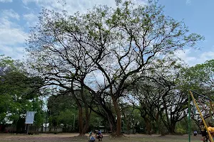 Jardin Public Bujumbura image