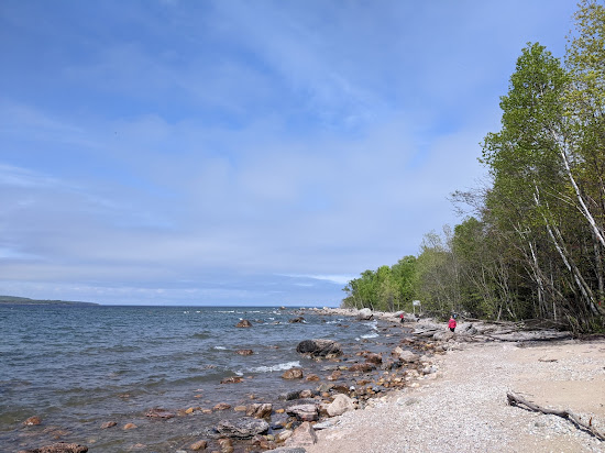 Awenda Pet Beach Area
