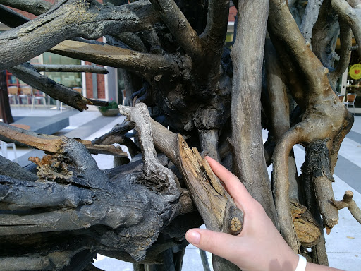 Art Museum «Portland Art Museum», reviews and photos, 1219 SW Park Ave, Portland, OR 97205, USA